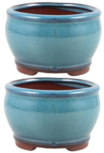 Yardwe 2 Piezas Planta Suculenta En Maceta De Espárragos Maceta De Cactus Pequeña De Escritorio para Suculentas Plantador De Cactus Decorativa Arcilla Morada