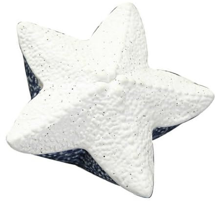 BESPORTBLE Boîte à Bijoux Porcelaine Avec Couvercle Style Blanc Pour Ranger Colliers Boucles Oreilles Et Petits Objets