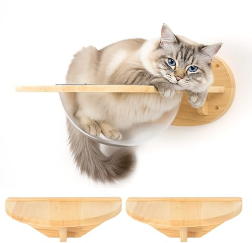Cat Wall Climbing set Kletterwand Katzen katzenhöhle wand Katzenwandmöbel Set, aus Massives Gummiholz, Hochwertiges Katzenbett zum Schlafen, Spielen, Klettern Dieses Set hat eine maximale Tragfähigkei