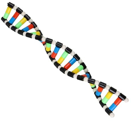 Kit De Modelo De : Lección De Biología Visual, Ensamblaje De Estructura De Doble Hélice De 40 Cm, Herramienta Genética De ABS Resistente, Accesorio De Aprendizaje Molecular Biológico | Par