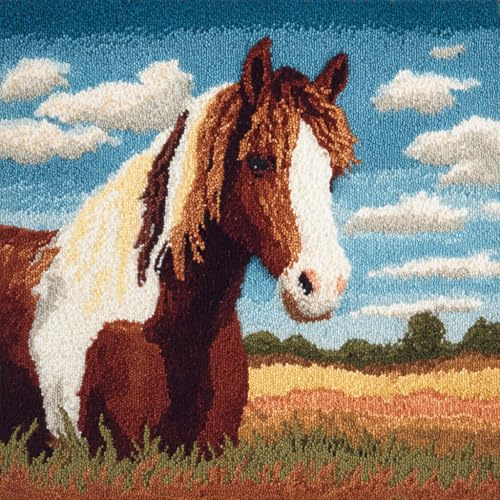 Taxpy Kit de gancho de pestillo, funda de almohada, Caballo animal juego de alfombras, bordado, funda de almohada, funda de cojín de sofá, kits de manualidades, 43x43cm