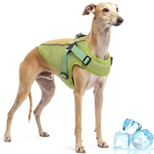 Chaleco de Verano Perros, Abrigo Fresco Verano Perros con Arnés, Mantiene a Las Mascotas Frescas Durante los Paseos del Caluroso Verano, Ideal para Recostarse y Relajarse enInteriores(Verde, L)