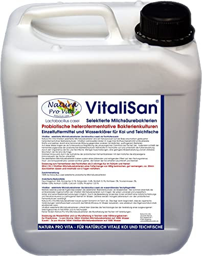 Klares Teichwasser Milchsäurebakterien Koiteich Filterbakterien Teichklärer algenfrei baut Nährstoffe ab antibakteriell Wundheilung Fische 10L