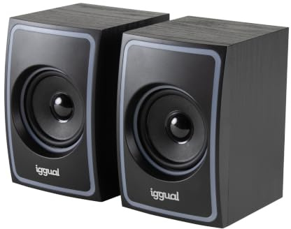 iggual 2.0 10W Mini-Jack + USB Bluetooth-högtalare