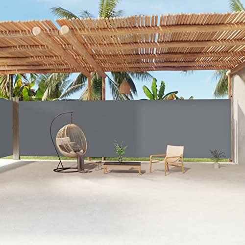 Sufrk Toldo lateral retráctil antracita 220 x 1200 cm, toldo para exterior enrollable, toldo con brazos extensibles con estructura de aluminio, toldo resistente al sol e impermeable