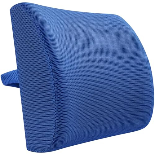 HomDSim Memory Foam Lumbar Cushion Lower Back Support Pillow Posture Correcting Car Seat Home Office Chair (Blue)