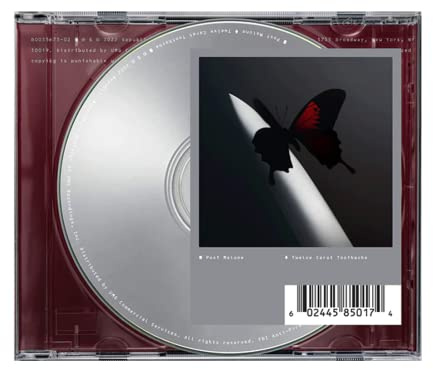 Twelve Carat Toothache