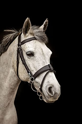Equipride Working Hunter Bridle with Quick Release Snap Hooks Removable Flash (Cob, Brown)