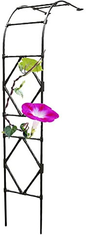 HZSCL Gartenbogen Rankhilfe Torbogen, Halb-Rosenbogen, Rankhilfe Halbbogen Aus Metall, Für Fenster, Tür, Eingang, Balkondeko, Rankenbogen Für Kletterpflanzen (Color : Black, Size : 180x240cm/70.9x94