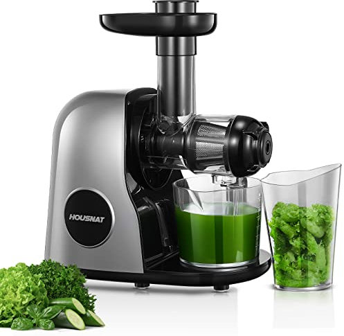 HOUSNAT Slow Juicer, Entsafter Gemüse und Obst, Profi Entsafter mit Ruhigem Motor │ Umkehrfunktion │ Saftkanne │ Reinigungsbürste │ 2 Filterelemente, BPA Frei (Silber)