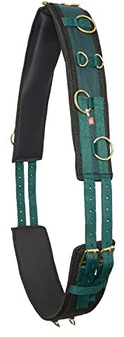 IMPERIAL RIDING Longiergurt Deluxe Extra