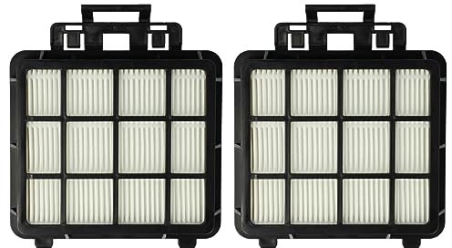 vhbw 2x filtre compatible avec Beko VCO42701AR, VCO42701AB, VCO 42702, VCO42702AD aspirateur - filtre HEPA noir/blanc