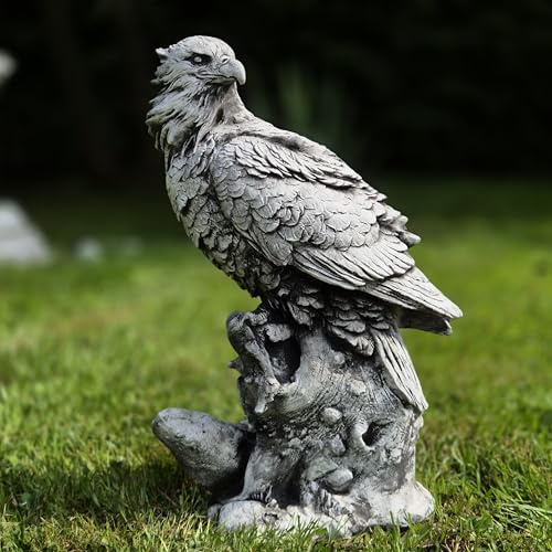 Abriq Aquila sulle rocce, decorazione da giardino realistica in pietra grezza resistente alle intemperie, antigelo per esterni, statua di aquila sulla roccia, aquila reale, altezza: 34 cm, 6 kg