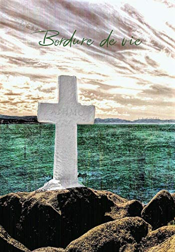 Animo (bordure de vie t. 1) (French Edition)