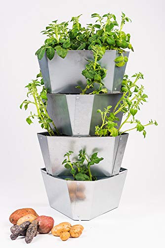 Paul Potato Starter Stahl Kartoffelturm - stapelbar - Hochbeet/Pflanzgefäß/Blumentopf für Balkon, Garten und Terrasse (4 Etagen, Stahl/Grau)