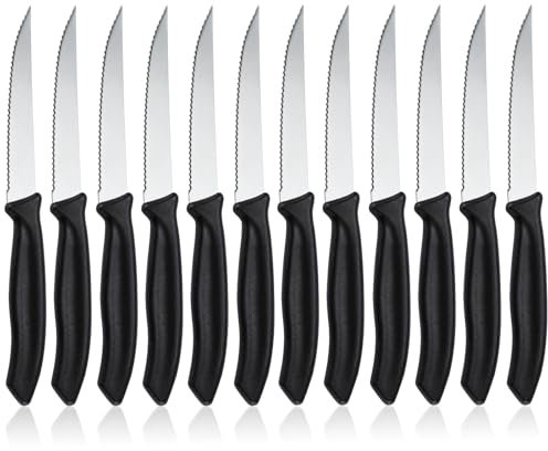 hunnycook coltello da bistecca 12 pezzi, coltello da tavola seghettato con bordo seghettato, set di coltelli da colazione in acciaio inox, lavabile in lavastoviglie