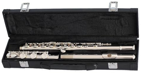 tvärflöjt instrument Professionellt öppet håls flöjtinstrument med 17 hål