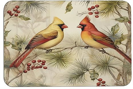Toiyugd Badematte für den Winter, Weihnachten, Kardinalvogel, rote Beeren, Badematten für Badezimmer, Kardinalvogel-Muster, schnell trocknend, für den Innenbereich, einfach zu verwenden, 40,6 x 61 cm,