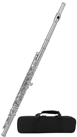 tvärflöjt instrument Flöjtinstrument 16 håls c nyckel nybörjarinstrument
