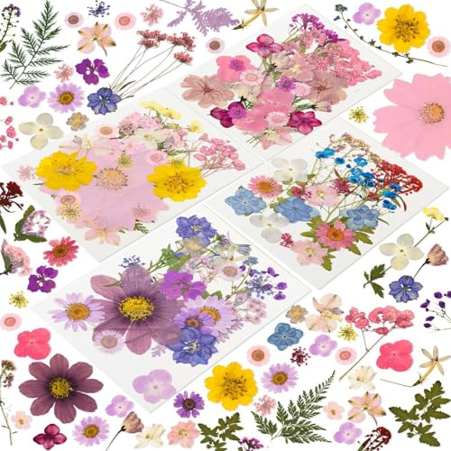 Tastetreasure Set di 204 foglie e fiori secchi veri e naturali per stampi in resina, produzione di candele, nail art, saponi fai da te e custodie per cellulari, confezione sottovuoto, non commestibile
