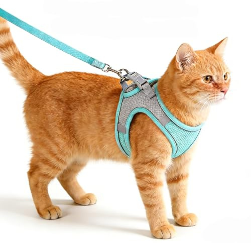 YINANLIN Harnais Chat Réfléchissant Gilet Harnais pour Petit Chat pour Randonnée Trajet Voiture, Harnais en Maille Douce Respirante et Durable, Vert, S