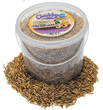 Chubby Mealworms Dried Mealworms and Calci Worm Mix (5 Litre), Dried Mealworms & Calci Worm, Calciworms Treats More Calcium than Meal Worm For Wild Birds, Protein Rich Meal Worms for Birds, Reptiles