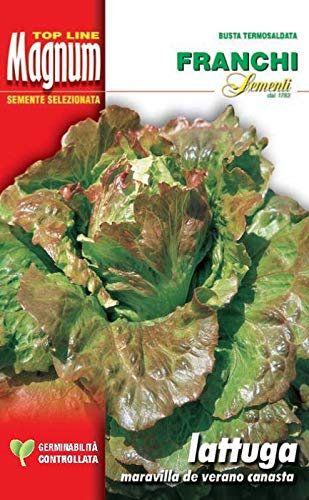 BUSTA MAGNUM SEMI DI LATTUGA CANASTA ORTO GIARDINO SEMI