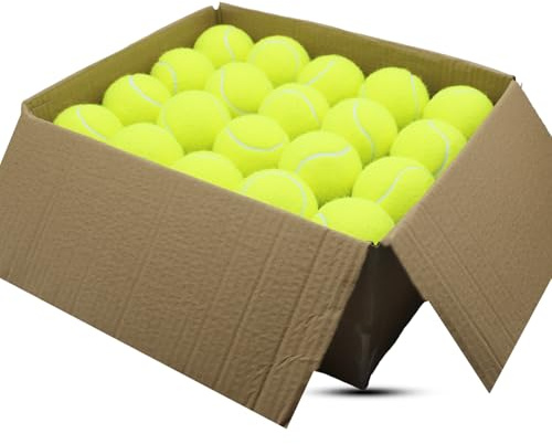 SHYUJAJIE - Juego de 40 pelotas de tenis de entrenamiento, pelotas de tenis de alta elasticidad para principiantes, pelotas de ejercicio para mascotas y perros (color amarillo)