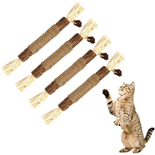 olyee Silvervine Chew Sticks,Kitten Toys Natural Cat Teeth Nip Cleaning Teeth Chew Catnip Toys for Indoor Cat Cleaning Kitten Stress Release