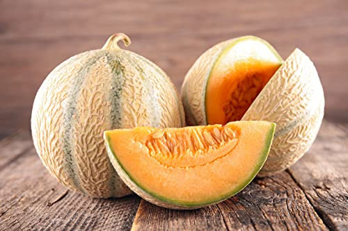 Lot de 50 Graines de Melon Charentais - Variété Française type cantaloup Charentais - chair très sucrée et parfumée - chair ferme et orange foncé - semences reproductibles.