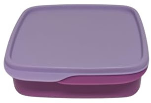 Tupperware to Go Lunch Box Clevere Pause 550 ml Contenitore per il pranzo con divisorio Eco+ Scuola (viola)