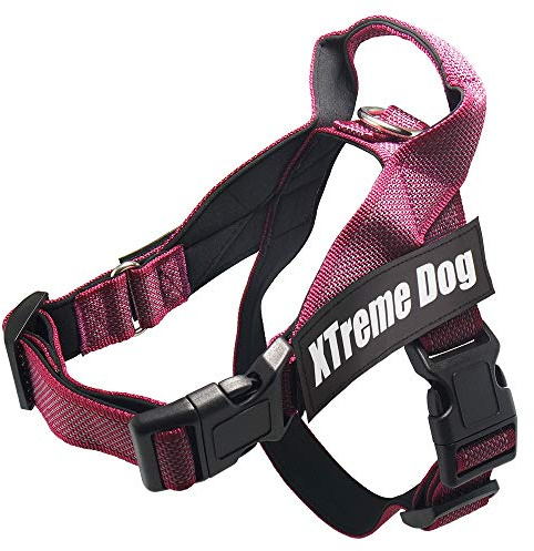 Arquivet Arnés para Perro Xtreme Dog Classic de Color Rosa - Talla L/63-81 cm - Ajustable, ergonómico y Resistente - Incluye Agarre en la Parte Superior Salir a pasear