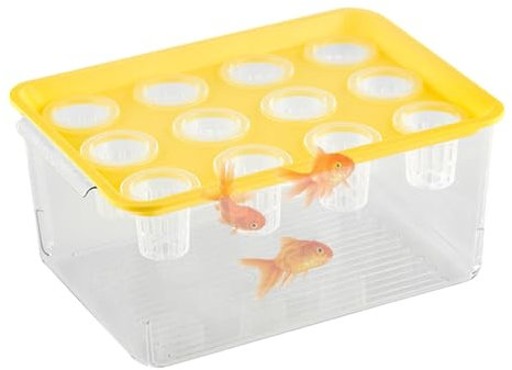 Betta Aquarium, Planteur Aquaponique Et Aquarium | Aquarium De Bureau | Fischtank Favorise Un Environnement Hydroponique Sain Pour La Décoration De Table