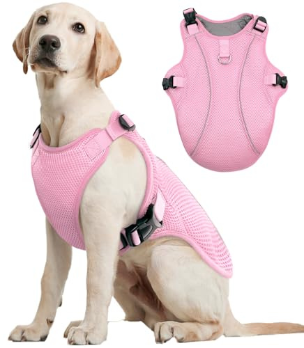 Kuoser L Chaleco refrigerante para perro transpirable, abrigo de refrigeración para perros, chaqueta refrigerante ventilada, actividades al aire libre, senderismo, entrenamiento, verano, paseos, calor