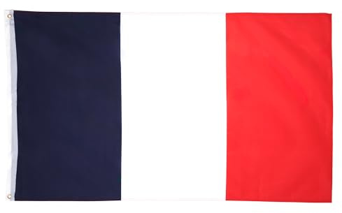 AZ FLAG - Lot de 10 Drapeau France - 90x60 cm - Drapeau Français 100% Polyester Avec Oeillets Métalliques Intégrés