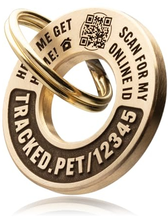 Large Chunky, Deep Engraved Dog Tag with QR Code On-Line Profile (Brass)