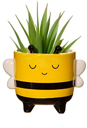 Sass & Belle Mini Bee planterare på benen – söta djurplanterare för krukväxter, knasig dekorativ blomkruka för heminredning, keramisk nyhet kruka, del av Sass och Belle urval av växtkrukor