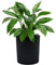 KONZEPT Blumentopf Groß Innen, Übertopf Groß 30cm Pflanzentopf Kunststoff Schwarz Meißelspuren-Design, Mit Inneneinsatz