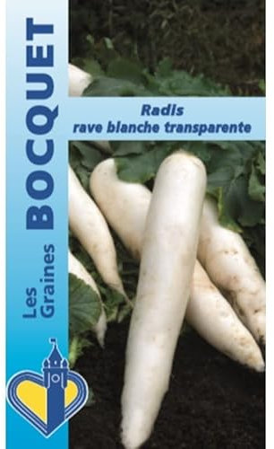 Sachet de graines de Radis rave blanche transparente - 10 g - légume racine - LES GRAINES BOCQUET