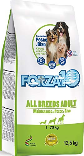 Forza 10 Maintenance für Cane Adult All Breeds mit Fisch und RIS 12,5 kg