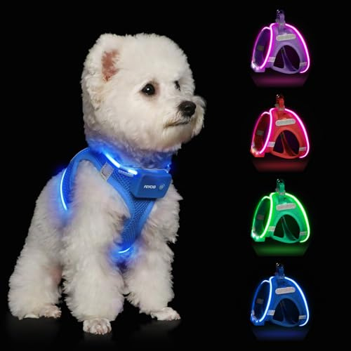 Light Up Dog Harness, Rechargeable LED Dog Harness for Small Medium Dogs