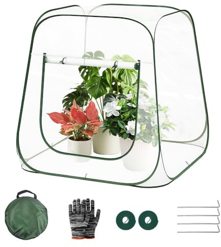 KUWUNG Mini Serra da Giardino Invernali, 98x98x98CM Serra per Piante Inverno Pop Up con Guanti e Velcro, Mini Serra da Balcone Invernale, Mini Serre da Giardino Invernali,Mini Serre da Balcone