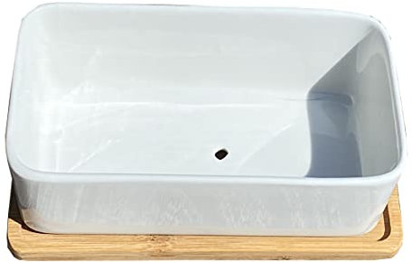 Selections White Succulent Trough Pot, Outdoor, Small