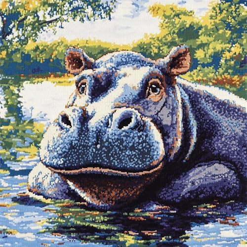 XDEGHUANGSS Juego de cojines de nudos para adultos, principiantes, funda de almohada, ganchillo, juegos de manualidades, lienzo preimpreso, hilo, pasatiempos, bricolaje, decoración del hogar, regalo