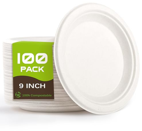 Yidaxing 100 Pcs Assiettes Jetable, Couvert Jetable,Assiettes Rondes-22.8cm | Vaisselle Jetables pour La Restauration, Les Fêtes D'anniversaire, Les Pique-Niques et Les Barbecues,Entre Autres (Blanc)