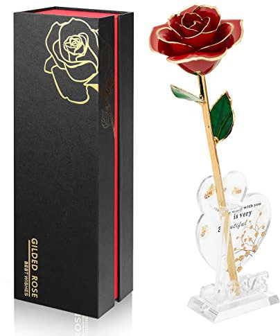 Ariceleo Gold Dipped Infinity Rose Last Forever Flower Decor, Geburtstagsgeschenk für Frauen in Ihrem Geburtstag Valentinstag Muttertag, Harzkonservierte Rose | Jubiläumsgeschenk für Mama(Rot)