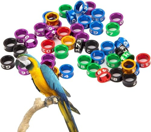 Open Bird Ring, Bird Leg Ring, Aluminum Split Ring, Pigeon Identification Tag, Mixed Color Training Ring