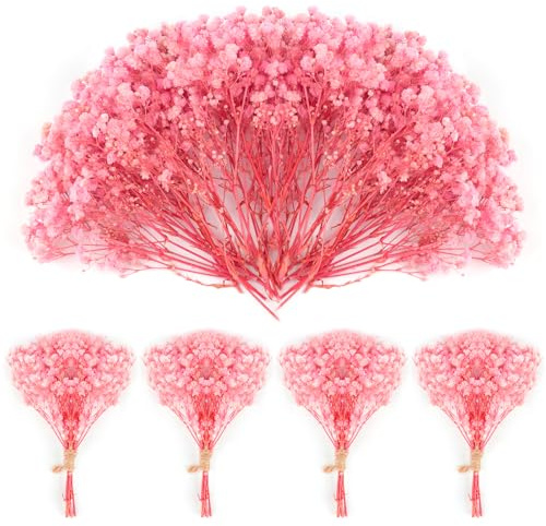 70 st mini torkad Gypsophila 4 000+ torkade blommor färg naturlig rosa dekoration bröllop blomma torr för håraccessoarer bröllop girlang kort vas present heminredning