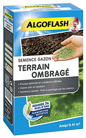 ALGOFLASH Semence Gazon Terrain Ombragé, 900g, SEMTO1, Bleu