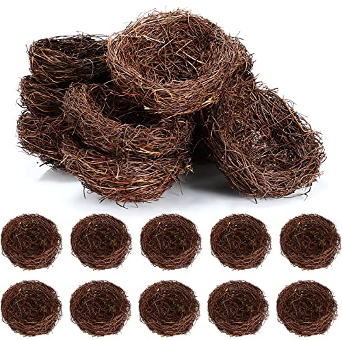 Therwen 10 Pcs Decorative Bird Nest Decor, Natural Twig Bird Nests for Spring Easter Table Centerpiece, Rustic Home Decor, Floral Arrangement, DIY Craft and Terrarium Display (5.9 Inch)